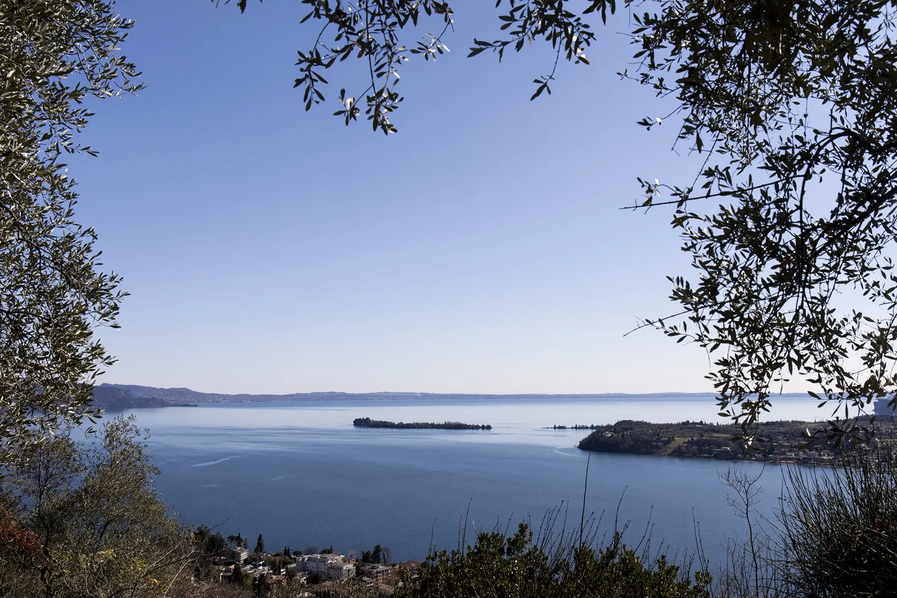 Lake Garda seen through the olive trees